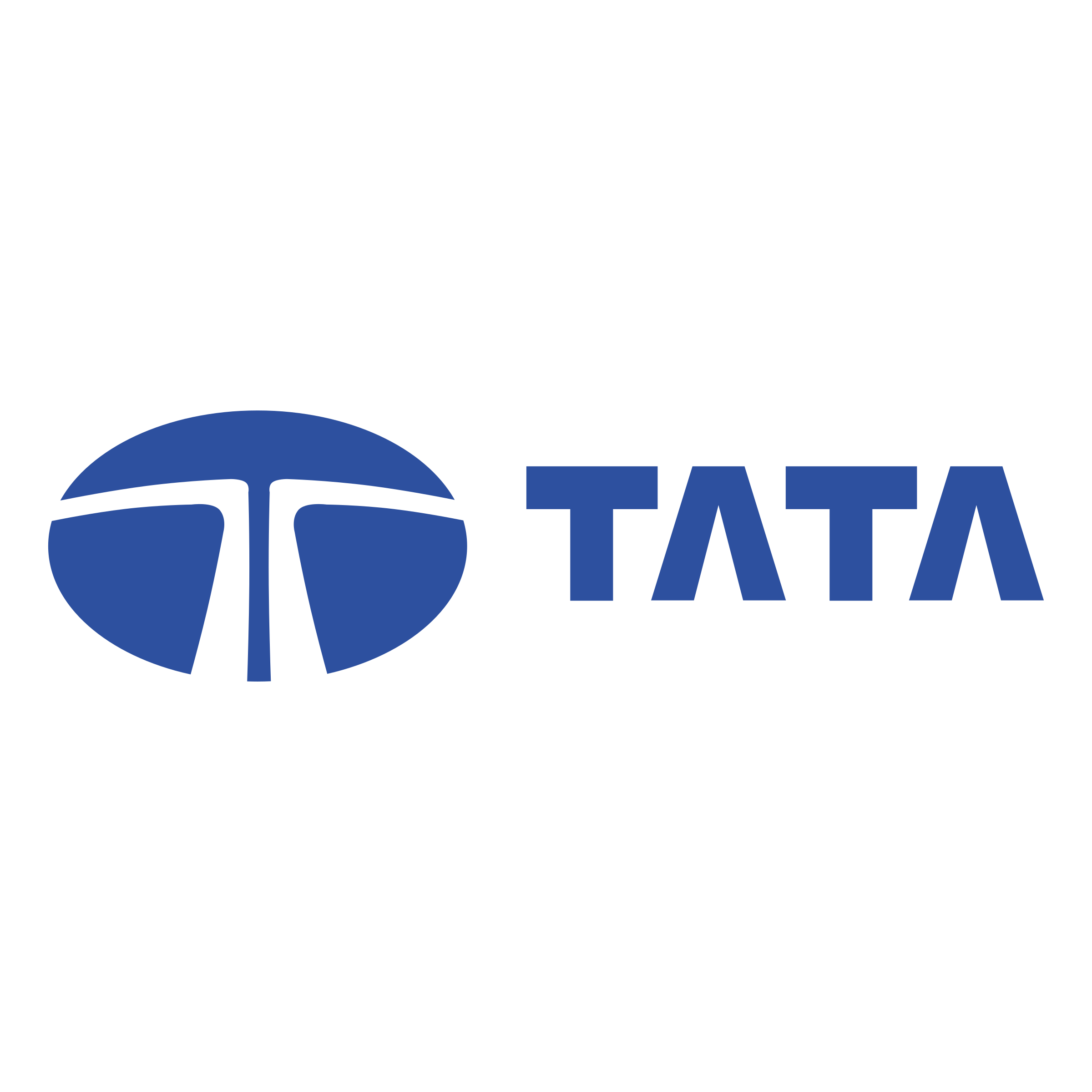 Tata Logo